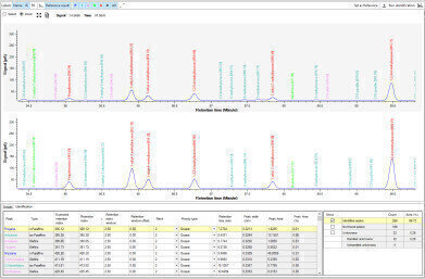 True Workflow-Oriented Software for Detailed Hydrocarbon Analysis