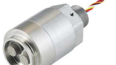New Ultra-Fast H2S Gas Detector