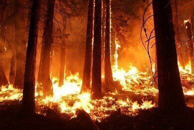 Are Wildfires Getting Worse?