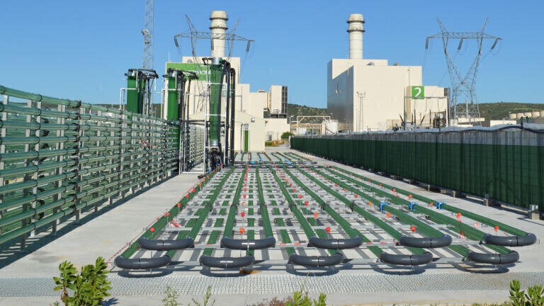 Yokogawa signs strategic partnership and equity agreement with AlgaEnergy to accelerate growth of microalgae biotech sector