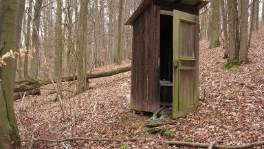 Could Human Waste Replace Conventional Fuels?