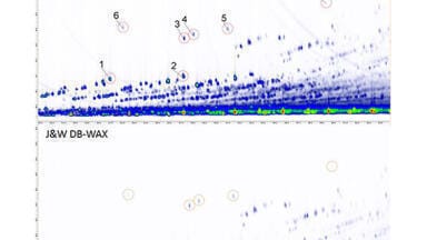 Diesel oil analysis column offers a new dimension in 2D chromatography