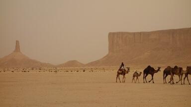 How Big is Saudi's Largest Oil Field?