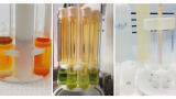New approaches in sample preparation and precise multi-elemental analysis of crude oils and refined petroleum products