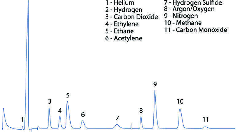 Figure 2: Eclipse TCD chromatogram showing separation of common permanent gases and H2S.