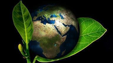 Should Oil Companies Become Broad Energy Firms?