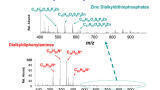 Ambient ionisation mass spectrometry for petroleum applications