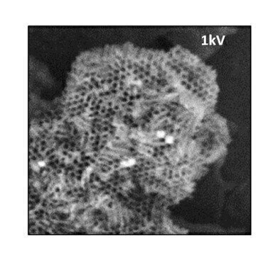 High resolution electron microscopy imaging and elemental analysis