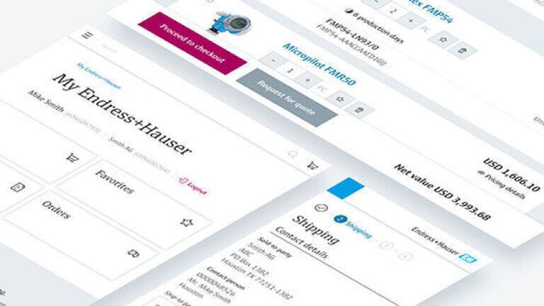 Online sales boost for Endress + Hauser