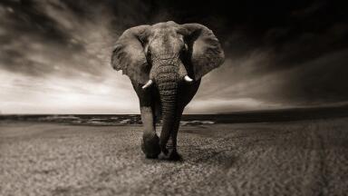 Why is Oil Exploration Controversial in Namibia?