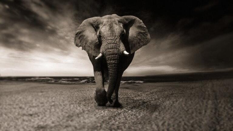 Why is Oil Exploration Controversial in Namibia?
