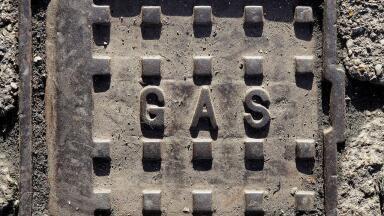 What Are the 4 Main Types of Hydrocarbons?
