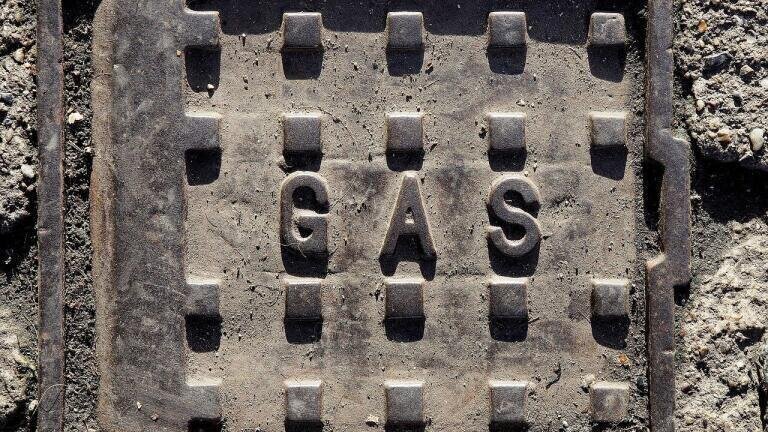 What Are the 4 Main Types of Hydrocarbons?