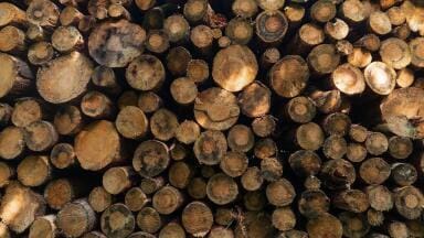 What Is Biofuel? - Definition, Advantages, Examples and Uses