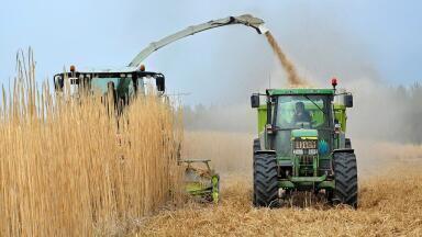 Are Biofuels Renewable?