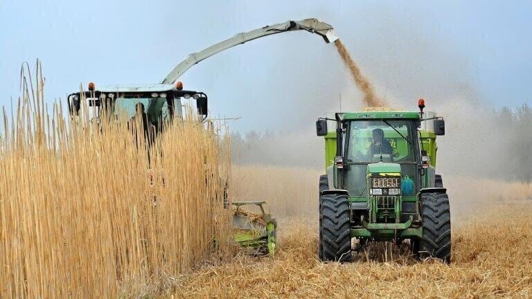 Are Biofuels Renewable?