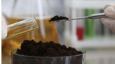 Humus Generation During Biodegradation