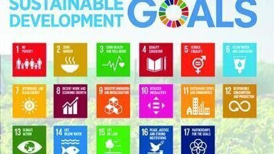 Standards and the U.N. Sustainable Development Goals