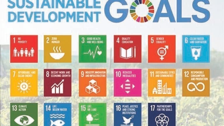 Standards and the U.N. Sustainable Development Goals