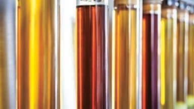 Proposed Standard for Portable Analysis of Biodiesel Content