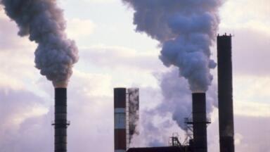 Distillation specialists give helping hand to developing the green fuels of the future