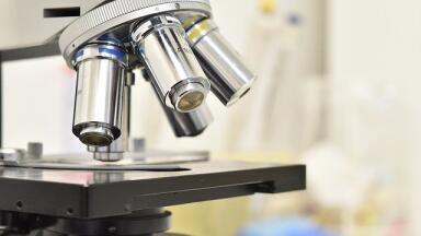 What Instruments Are Used in Sulphur Analysis?