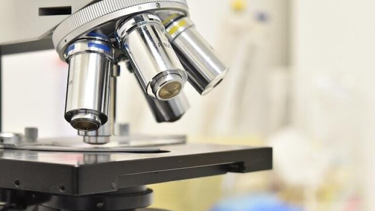 What Instruments Are Used in Sulphur Analysis?
