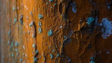 What Does Condition Monitoring Look For?