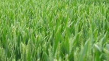UK Farmers Are Hoarding Synthetic Fertiliser