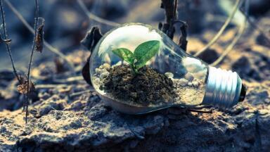 Are Hydrogen Fuel Cells Sustainable?