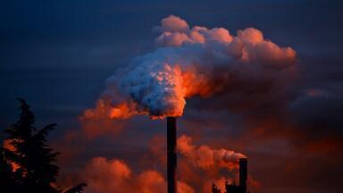How Do You Capture Carbon?
