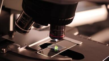 What is Microscopic Polymer Characterisation?