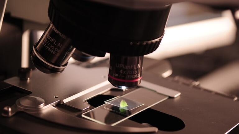 What is Microscopic Polymer Characterisation?