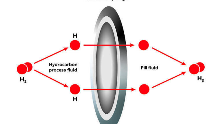 This image shows Hydrogen ions small enough to penetrate the diaphragm on the transmitter