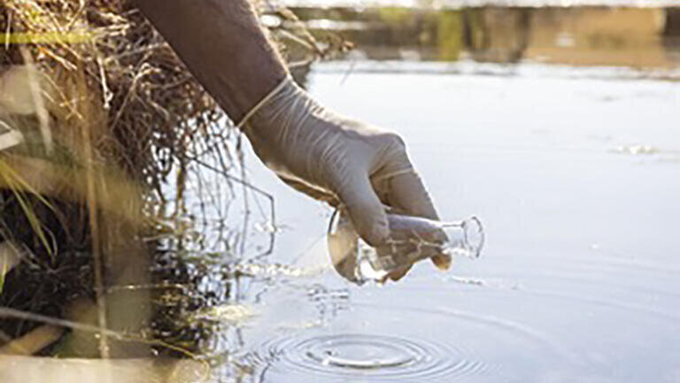 Petroleum in Drinking Water