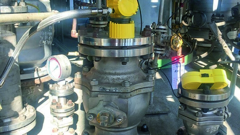 More than 500 VEGA instruments are now in service at the Ningbo site, including the radar sensor VEGAFLEX 81.