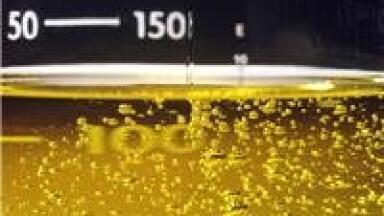 What is the International Biofuel Alliance?