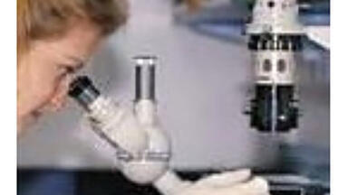 Obtaining Hydrogen from organic waste