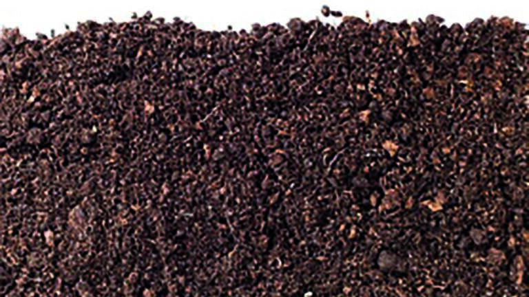 Detection of Environmental Contaminants