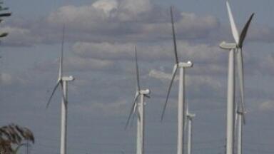 Administration of Green Energy Company Bulb Estimated at 60m