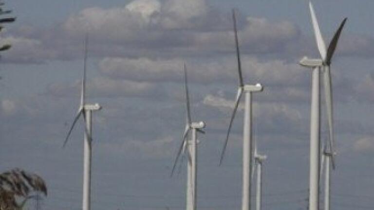 Administration of Green Energy Company Bulb Estimated at 60m