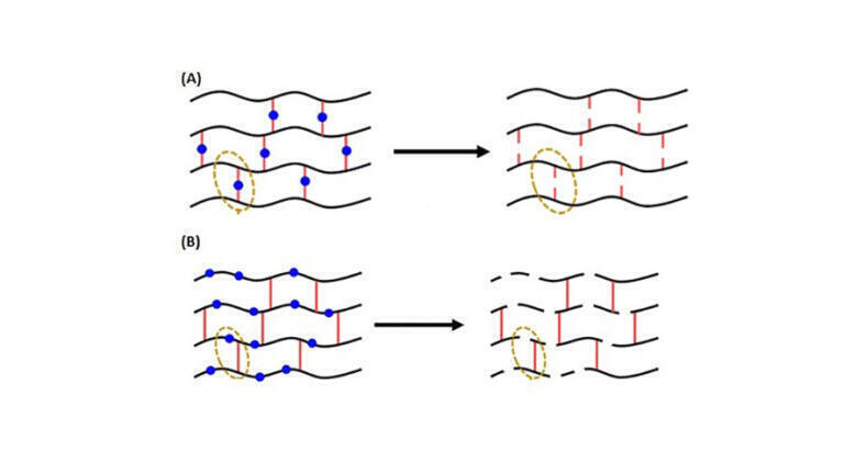 Scientists tackle difficult-to-recycle thermoset polymers