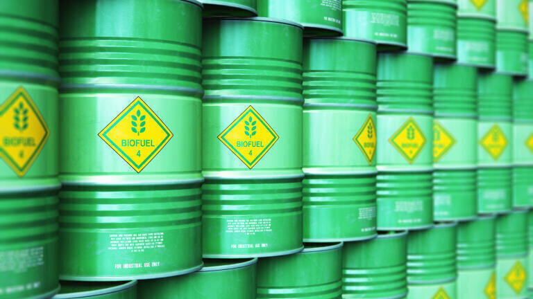 What pollutants are released by biofuel and biogas?