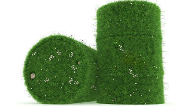 Making Sustainability the Standard
