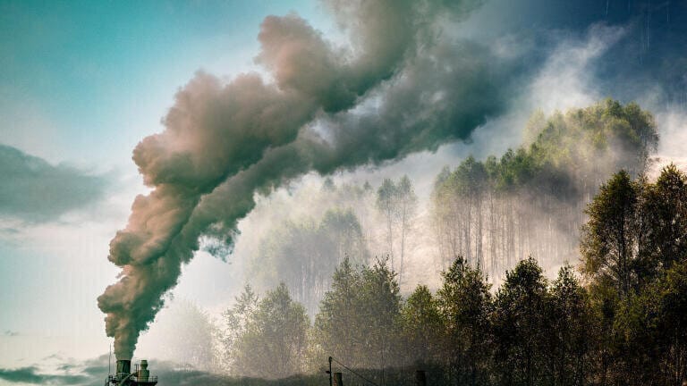 COP29: what was agreed?