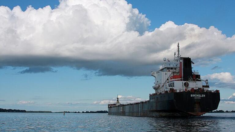 Green ammonia vs. methanol: which is the shipping fuel of the future? 