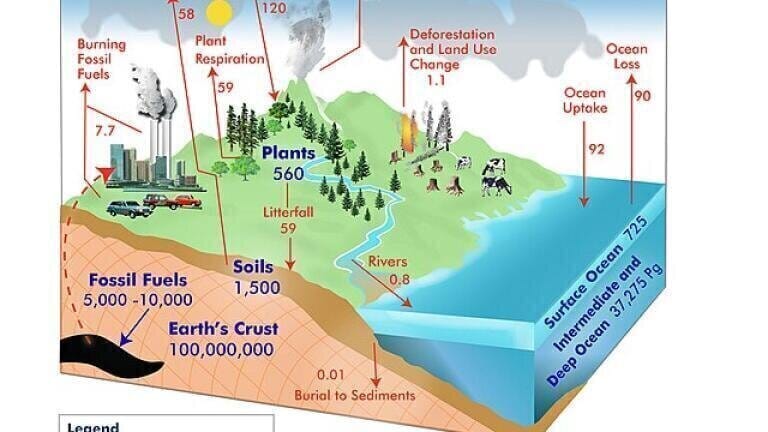 What are the three sources of renewable carbon for the chemicals industry?