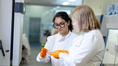 Labmate Online