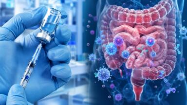 Labmate Online