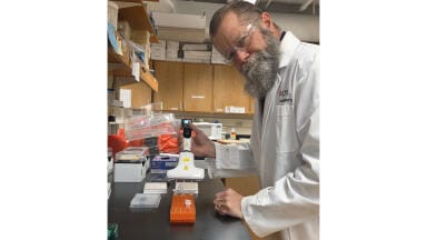 Labmate Online